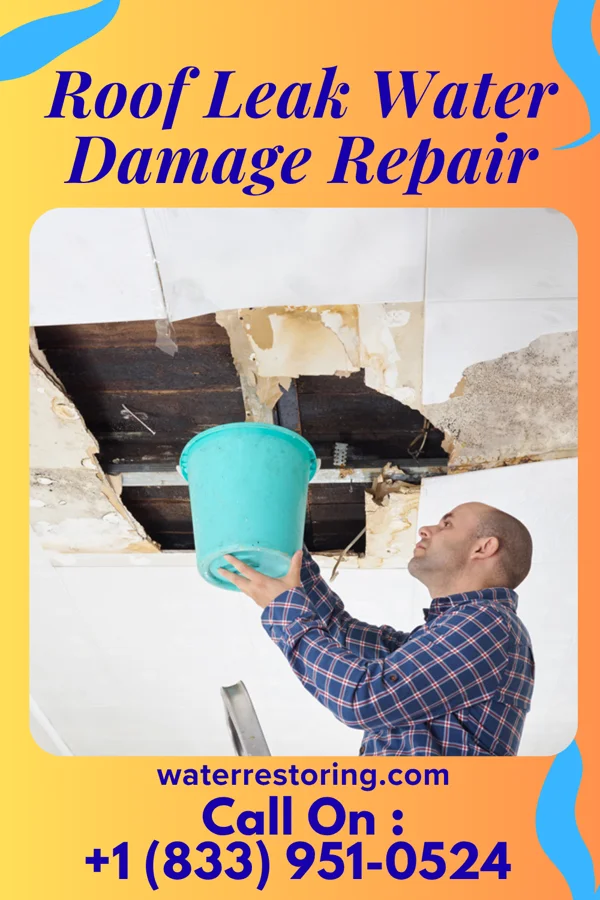 Roof Leak Water Damage Repair in Milford, IN