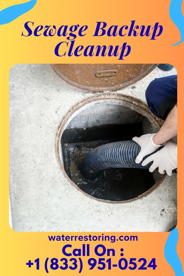 Sewage Backup Cleanup in Milford, IN