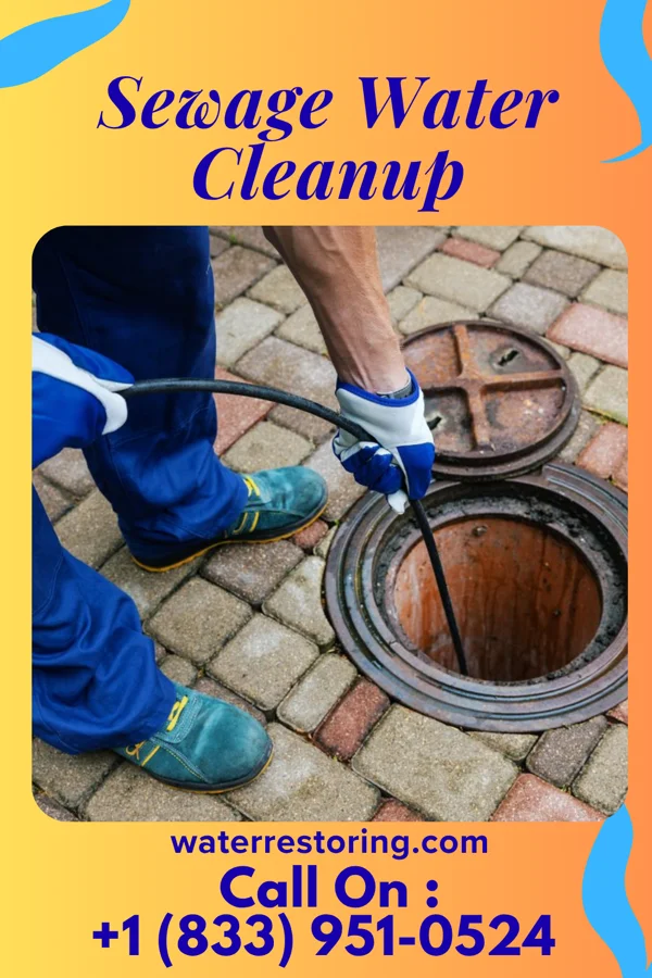 Sewage Water Cleanup in Milford, IN